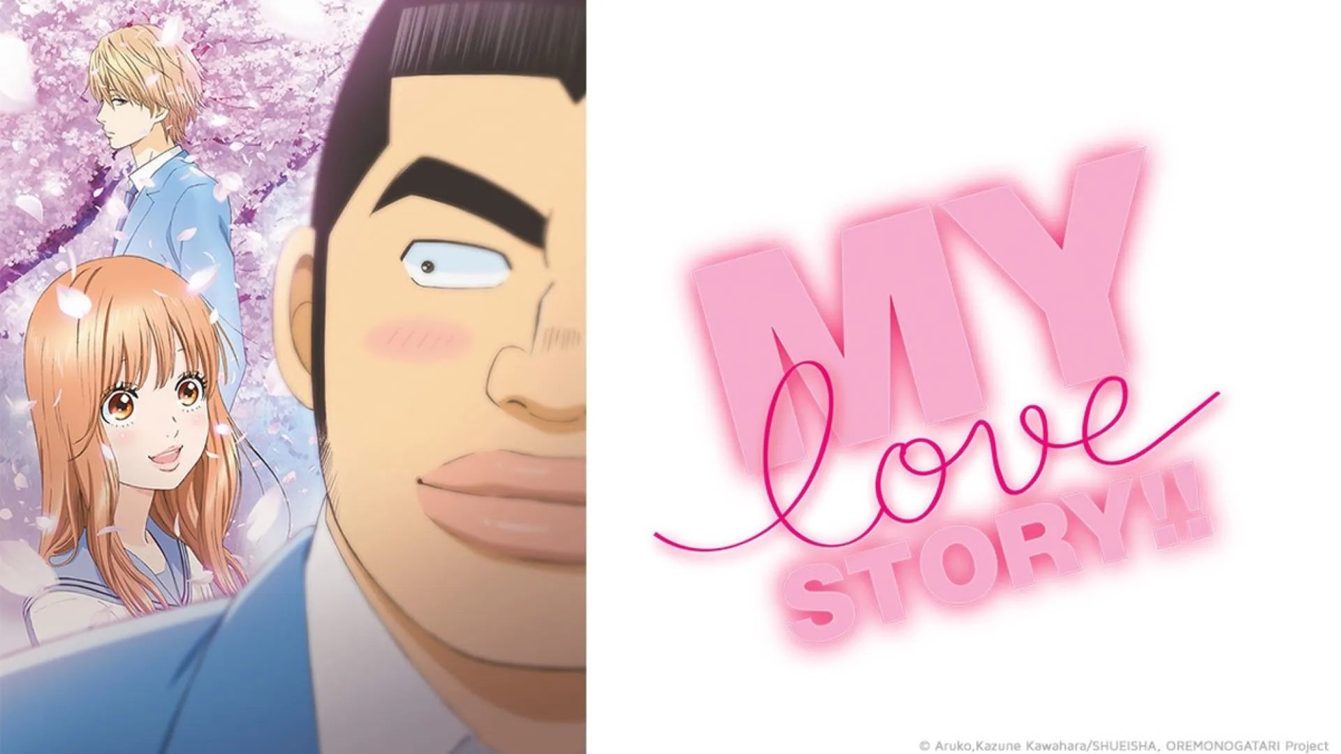 My Love Story – Maximus Books N' More