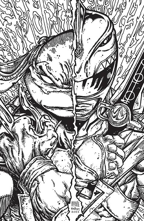 MMPR TMNT II #3 (OF 5)